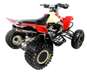 Dominator Uitlaat Suzuki LTR 450
